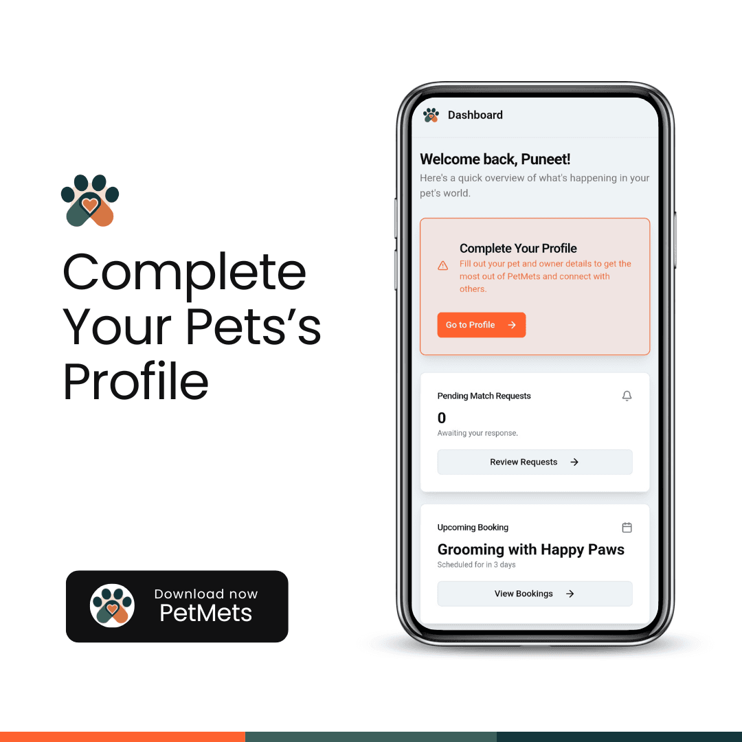 Dashboard prompting user to complete pet profile